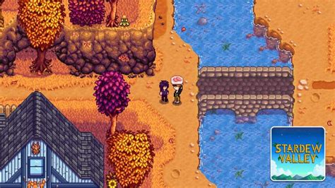 Stardew Valley - What Gifts Does Sebastian Like - Gamer Empire