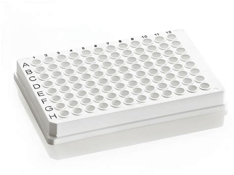 PCR Plate 96 Well, Skirted | Azenta Life Sciences