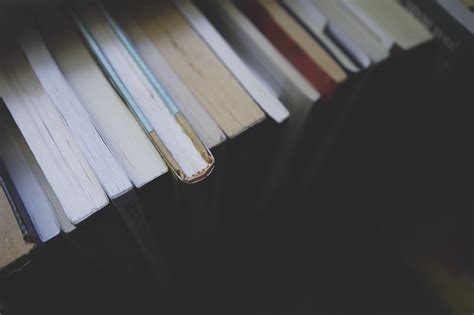 28 Books On Stoicism: The (Hopefully) Ultimate Reading List