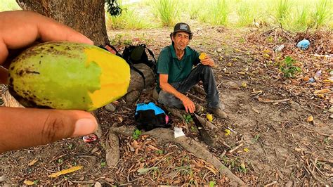 NO LO VAS A CREER! ENCONTRAMOS UN ÁRBOL DE MANGO ÚNICO! TIENE MANGOS ...