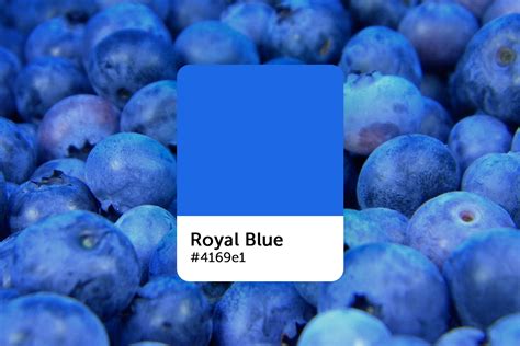 Royal Blue Color: Codes, Meaning & Palette Ideas - Picsart Blog