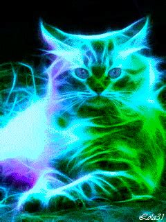 Cat GIF - Find & Share on GIPHY | Neon cat, Cat art, Cats