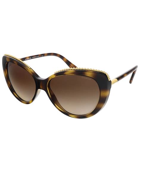 COACH Hc8157 512013 Dark Tortoise Cat Eye Sunglasses'. #coach #sunglasses | Cat eye sunglasses ...