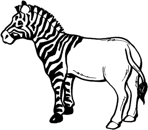 Zebra line drawing clipart free to use clip art resource - WikiClipArt