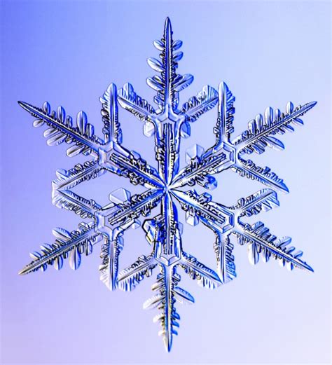 Snowflake and Snow Crystal Photographs