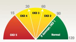 EGFR Kidney Disease Stages