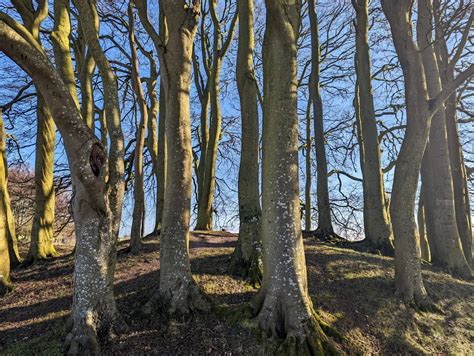 Epic Avebury Walk: 6 Incredible Historic Sites Await! - Wanderers of ...