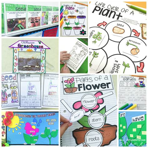 We have been learning all about plants in our class and it has been ...