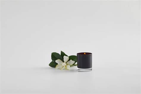 Shop Scented Candles, Floral Bloom Box & More - High Camp Supply