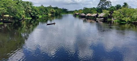 Venezuela's incredible Orinoco river delta - Colombia Corners