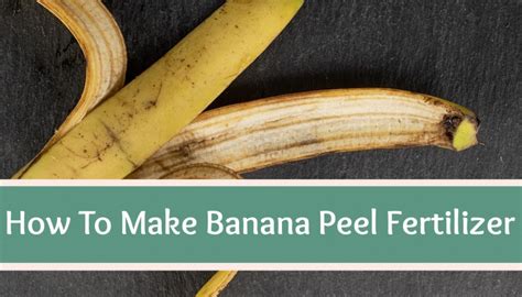 3 Ways To Make Banana Peel Fertilizer - High Country Farms