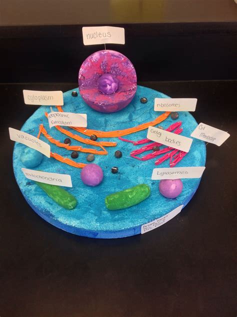 Lysosome 3d Model Project