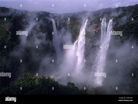 Jog falls, karnataka, India Stock Photo - Alamy