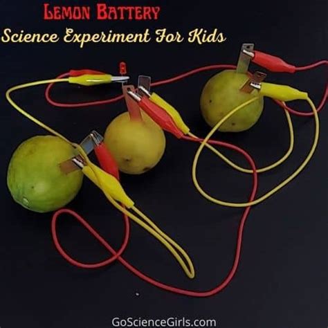 How To Make A Light Bulb Work Using Lemon | Americanwarmoms.org