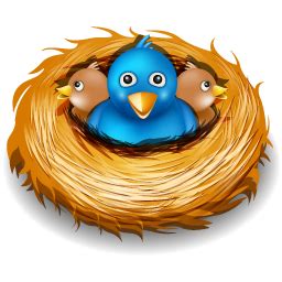 Free Nest PNG Transparent Images, Download Free Nest PNG Transparent ...