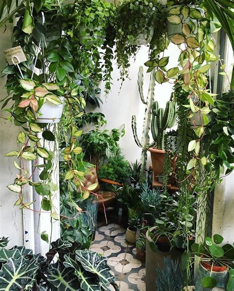 70 Amazing Home Indoor Jungle Decorations Tips and Ideas - Hoommy.com | Room with plants, Jungle ...