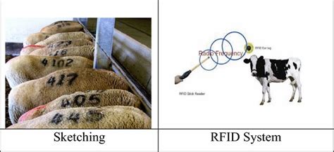 Temporary cattle identification (TIM) | Download Scientific Diagram