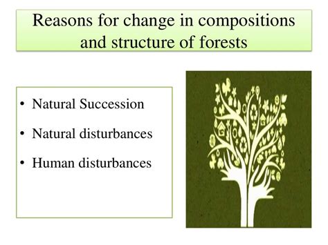 Forestation