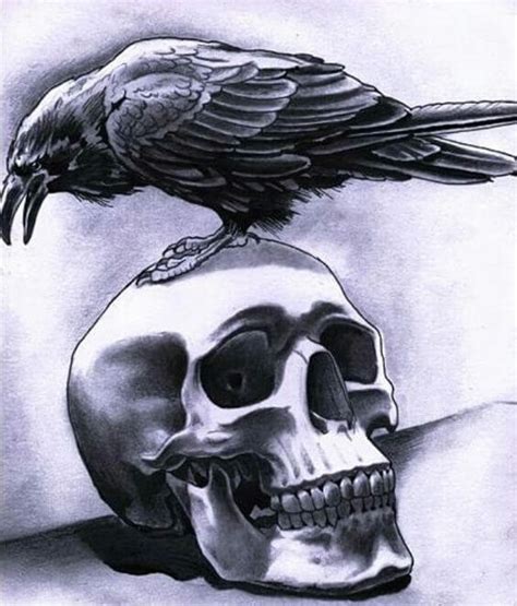 Raven On A Skull Meaning - Surflegacy