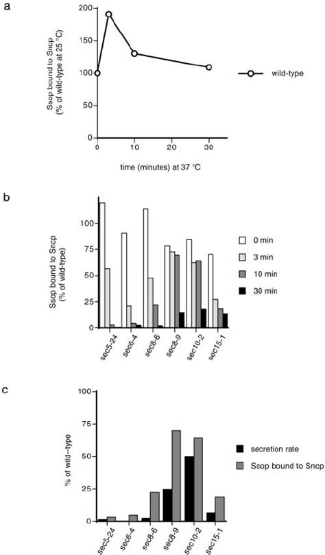 SNARE complex assembly and secretion in exocyst mutant yeast. (a ...