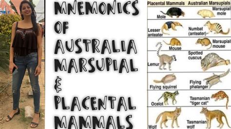 Placental Mammals Examples