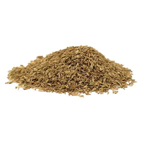 Midnight Kentucky Bluegrass Seed – hancockseed.com