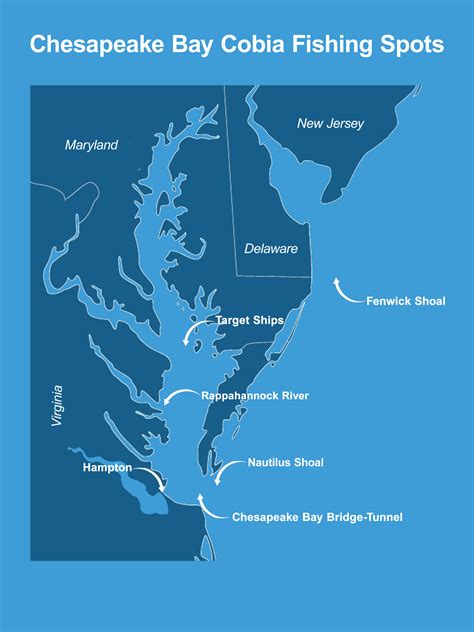 How to Fish for Cobia in the Chesapeake Bay: The Complete Guide (Updated 2023)