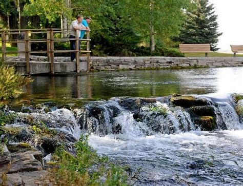 Giant Springs State Park | Great falls montana, Great falls, Montana vacation