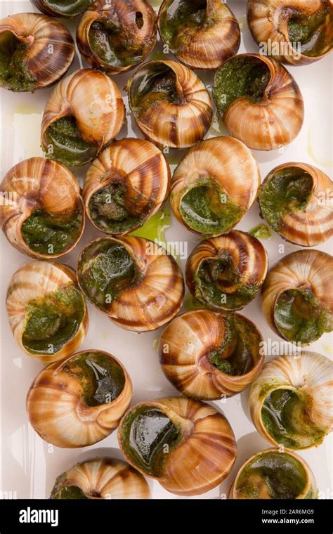 Snails edible hi-res stock photography and images - Alamy