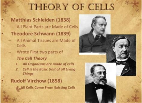 cell theory was formated by - Brainly.in