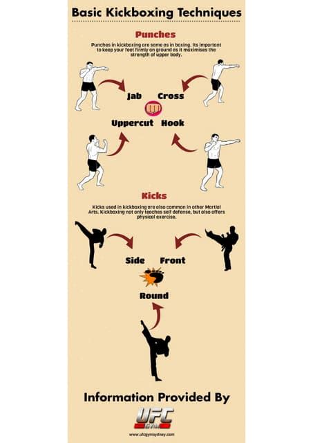 Basic Kickboxing Techniques | PDF