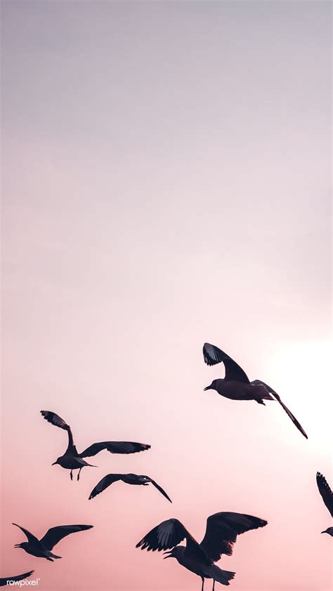 Flock of seagulls flying in the sky mobile wallpaper | premium image by rawpixel.com ...