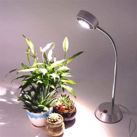 Where to buy plant desk lamps. I really need to know where to buy plant ...