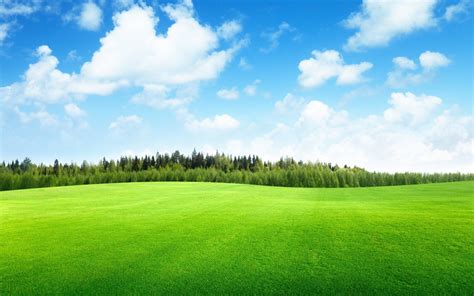 Beautiful Green Landscape Wallpaper 11 | Paesaggi, Natura, Sfondi