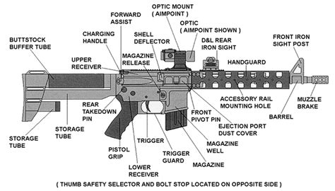 Rifle Diagrams - From Muskets too Modern Day Rifles