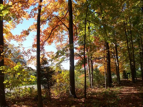 Some of the Best Fall Colors in Indiana Can Be Found at These 6 Parks