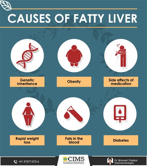 Causes of Fatty Liver - Dr. Bhavesh Thakkar