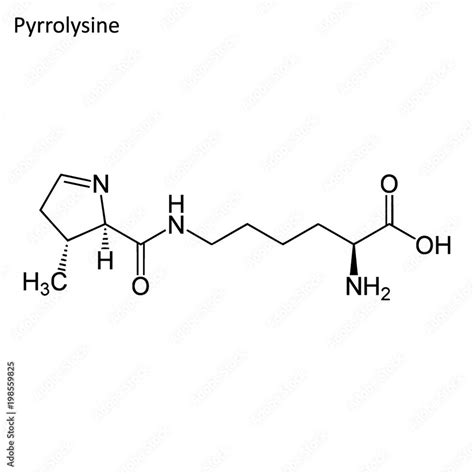 Skeletal formula of Pyrrolysine Stock Vector | Adobe Stock