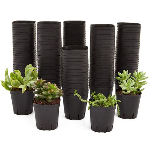 150 Pack Square Nursery Plastic Flower Pots Containers, 2.6 inch Black Mini Plant Container for ...