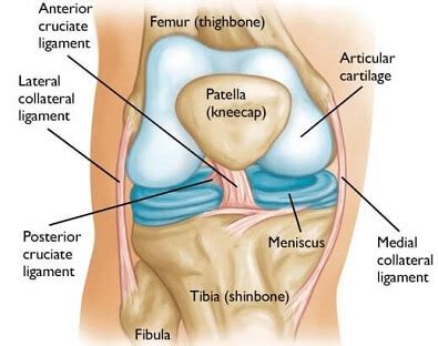 Bone Spurs In Knee: Causes, Symptoms & Treatment Of Knee Osteophytosis