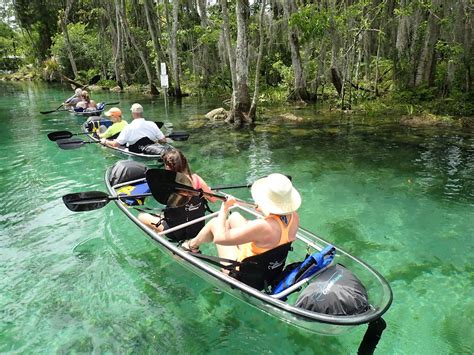 Clear Kayaking Ecotours | Crystal River, Florida