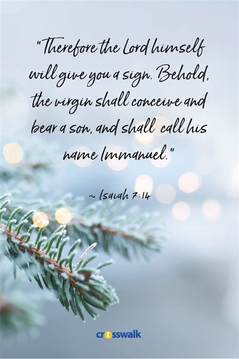 Top 15 Christmas Bible Verses to Share in 2021 - Christmas and Advent