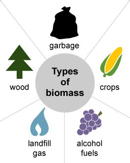 Biomass – Renewable Energy Sources