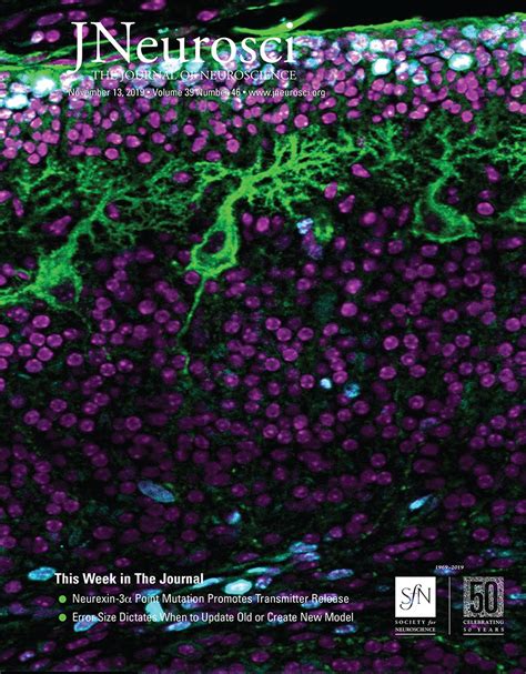 Fine-Grained Mapping of Cortical Somatotopies in Chronic Complex ...