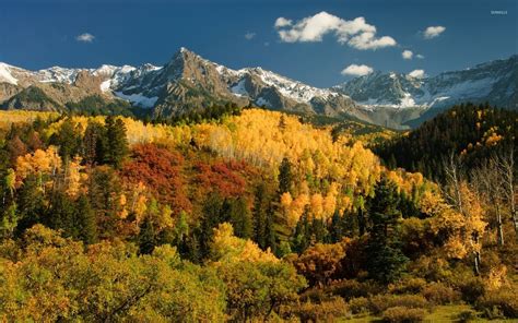 Autumn forest by the snowy peaks wallpaper - Nature wallpapers - #35882