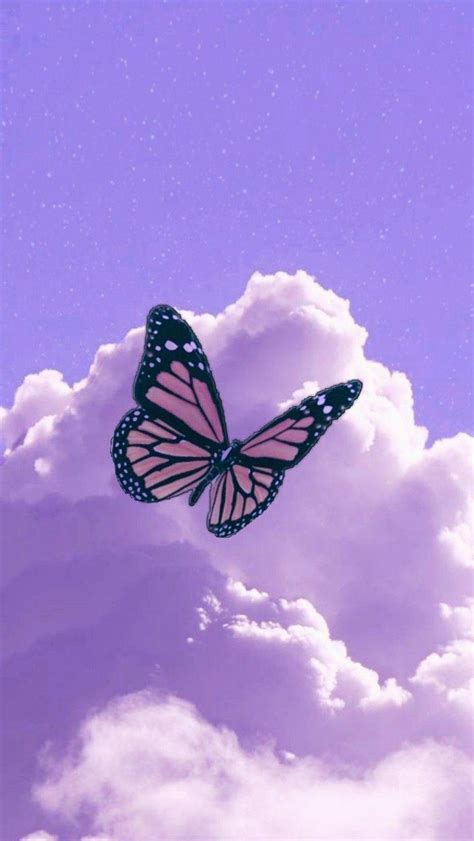 Purple Butterfly Wallpaper Hd