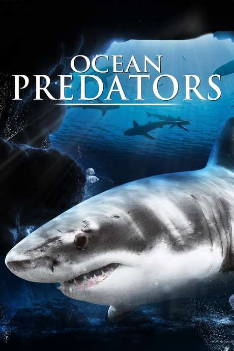 ‎Ocean Predators (2013) directed by Benjamin Eicher • Reviews, film ...