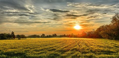 sunset, Field, Trees, Landscape, Autumn Wallpapers HD / Desktop and ...