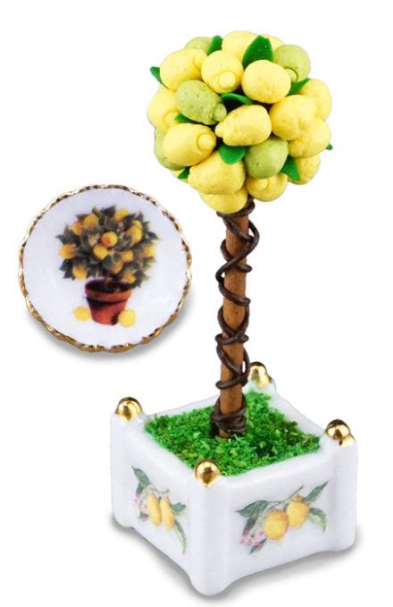 Miniature Lemon Tree | Edelweiss Imports