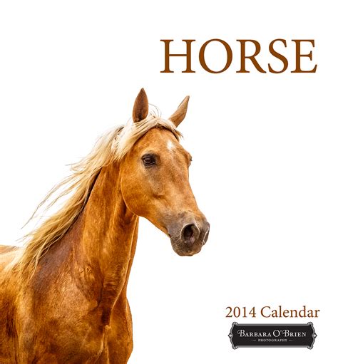 Horse on White 2014 Calendar on Behance